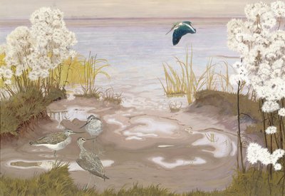 Vogel auf den Schlammbänken der Elbe, 1910 von Friedrich Lissmann